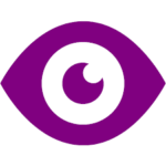 North Star Icon representing company vision